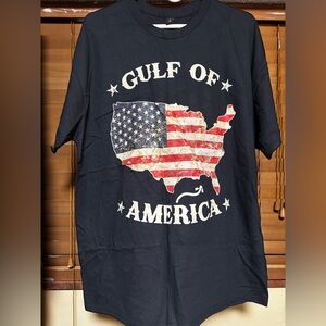 Gildan Heavy Cotton Black T-Shirt